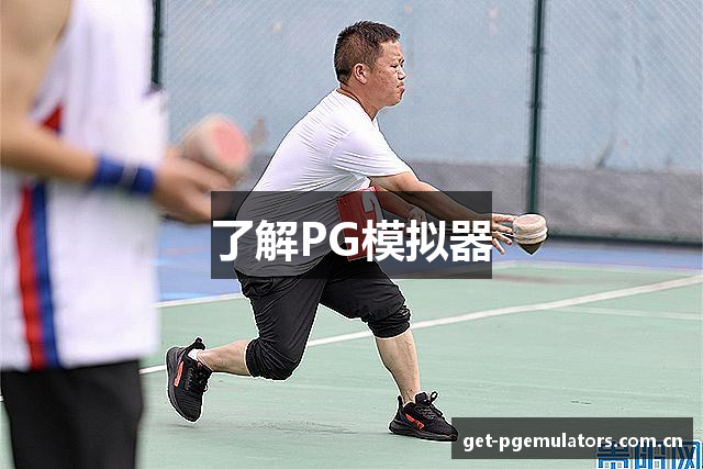 了解PG模拟器